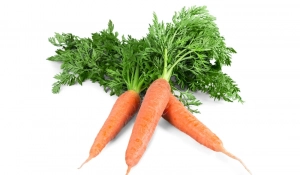 karotten-wurzeln-meyer-800px