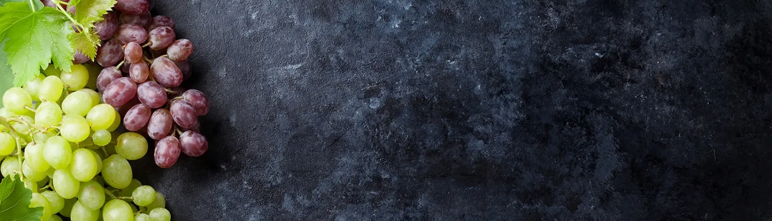 siegfried-meyer-winsen-luhe