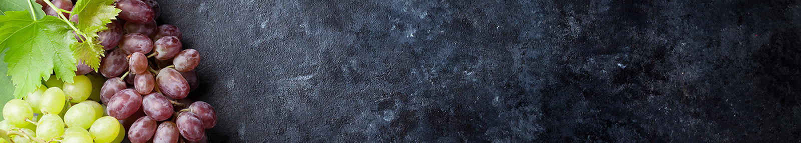 siegfried-meyer-winsen-luhe-schaml